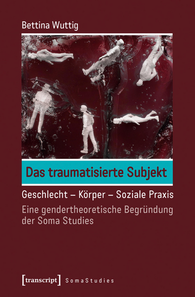 Cover des Buchs: Das traumatisierte Subjekt