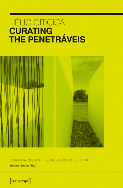 Cover des Buchs: Hélio Oiticica: Curating the Penetráveis