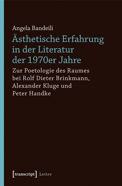 Cover des Buchs: Ästhetische Erfahrung in der Literatur der 1970er Jahre