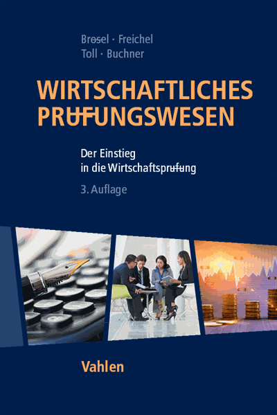 Cover des Buchs: Wirtschaftliches Prüfungswesen