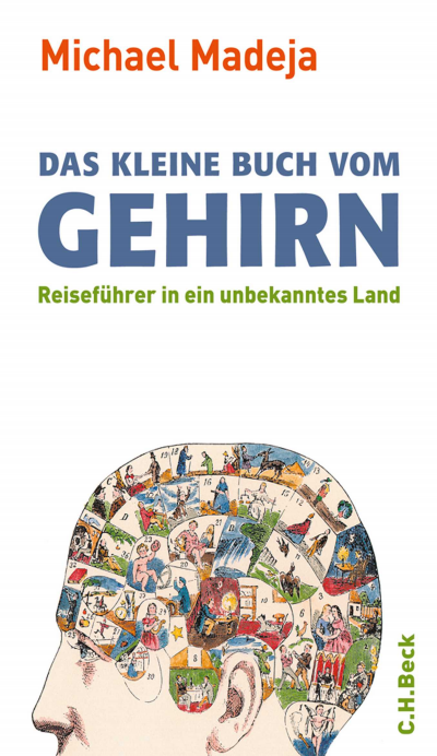 Cover of book: Das kleine Buch vom Gehirn