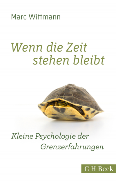 Cover des Buchs: Wenn die Zeit stehen bleibt