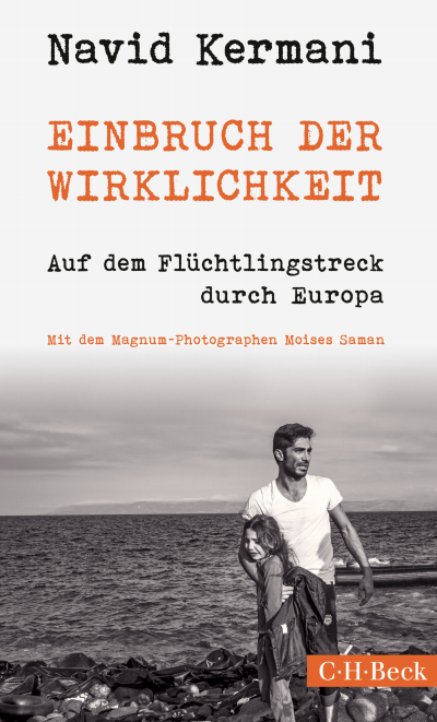 Cover des Buchs: Einbruch der Wirklichkeit