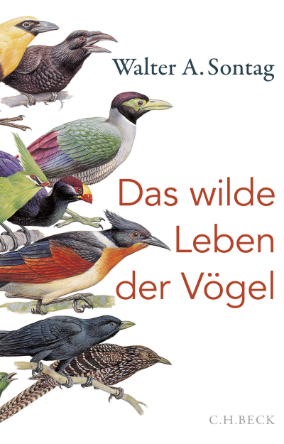 Cover of book: Das wilde Leben der Vögel