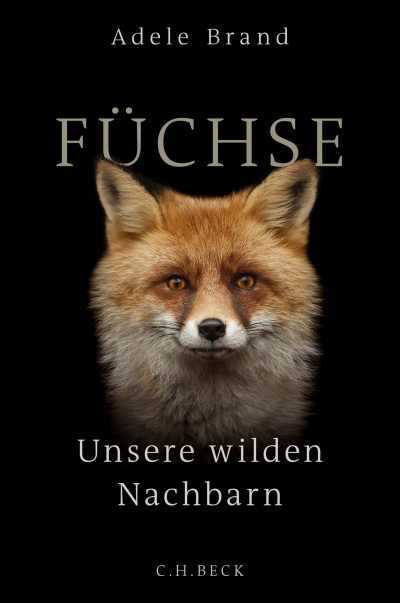 Cover of book: Füchse