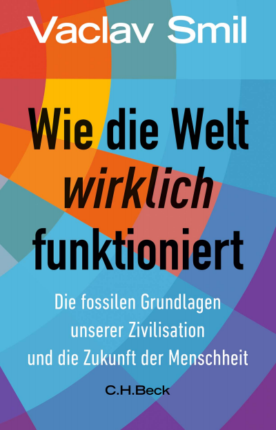 Cover des Buchs: Wie die Welt wirklich funktioniert