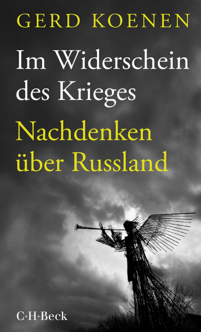 Cover des Buchs: Im Widerschein des Krieges