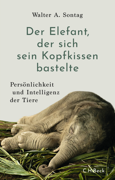 Cover des Buchs: Der Elefant, der sich sein Kopfkissen bastelte
