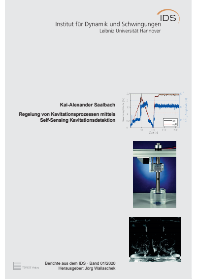 Cover of book: Regelung von Kavitationsprozessen mittels Self-Sensing Kavitationsdetektion
