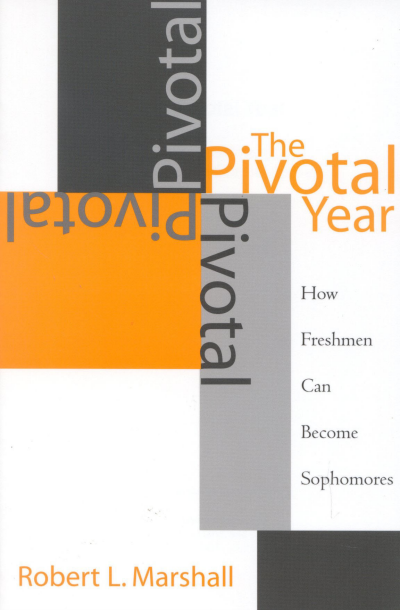 Cover des Buchs: The Pivotal Year