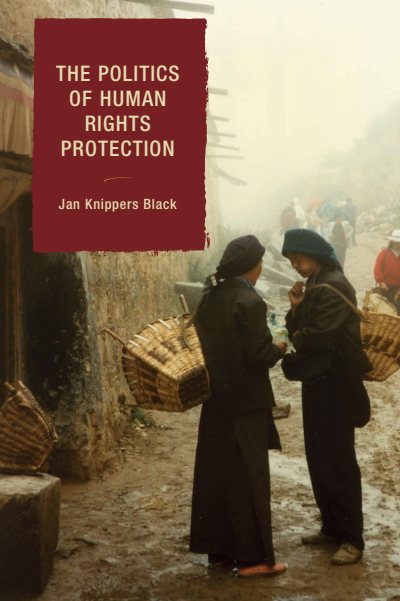Cover des Buchs: The Politics of Human Rights Protection