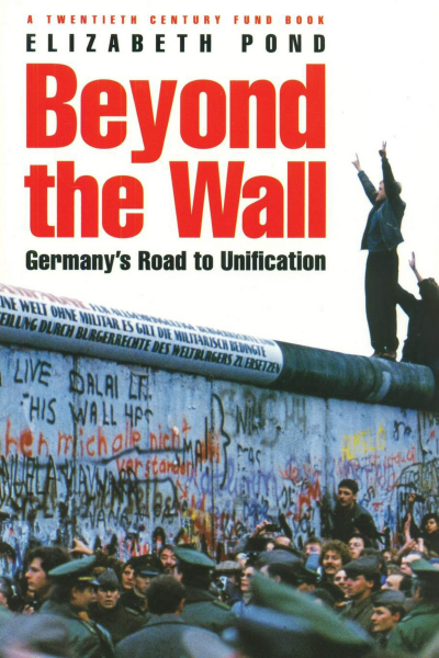 Cover of book: Beyond the Wall