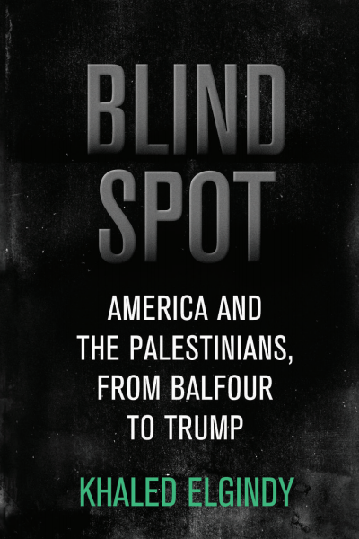 Cover of book: Blind Spot