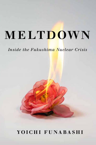 Cover des Buchs: Meltdown