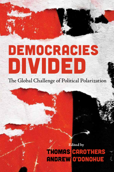 Cover des Buchs: Democracies Divided