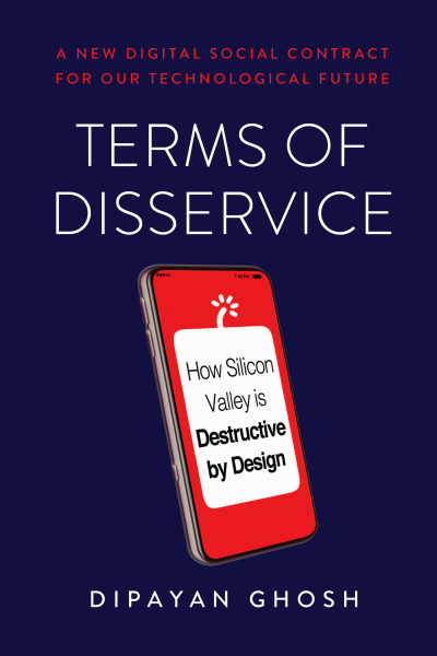 Cover of book: Terms of Disservice