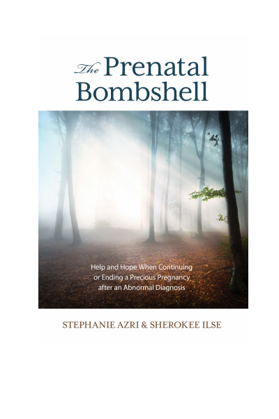 Cover des Buchs: The Prenatal Bombshell