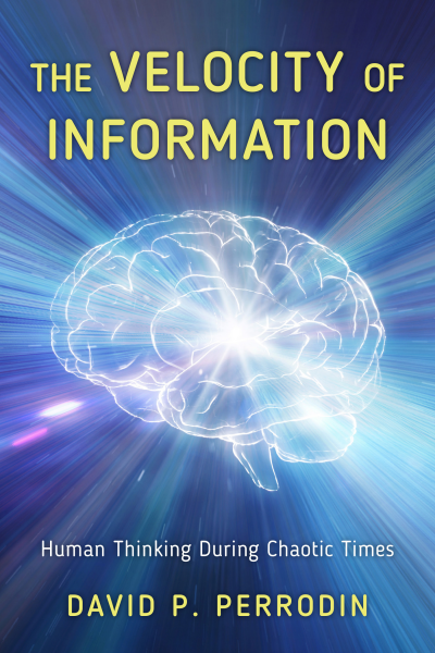 Cover of book: The Velocity of Information