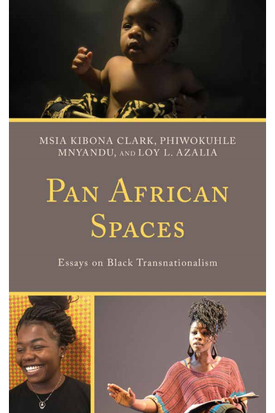 Cover des Buchs: Pan African Spaces