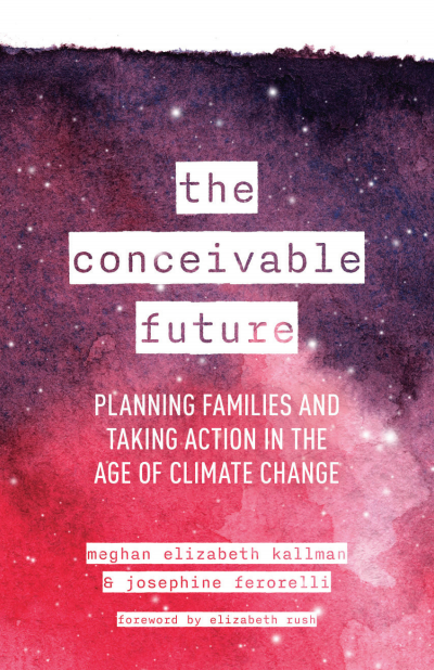 Cover des Buchs: The Conceivable Future