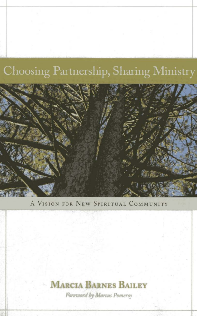 Cover des Buchs: Choosing Partnership, Sharing Ministry