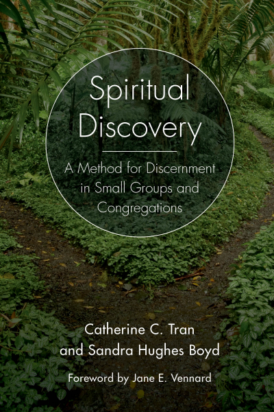 Cover des Buchs: Spiritual Discovery