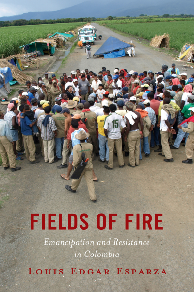 Cover of book: Fields of Fire