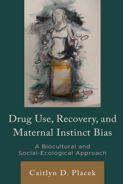 Cover des Buchs: Drug Use, Recovery, and Maternal Instinct Bias