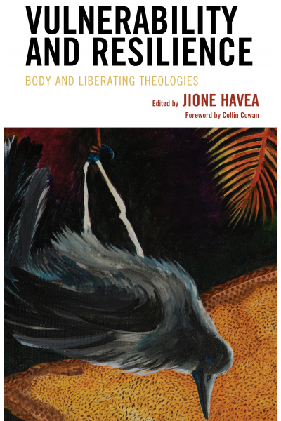 Cover des Buchs: Vulnerability and Resilience