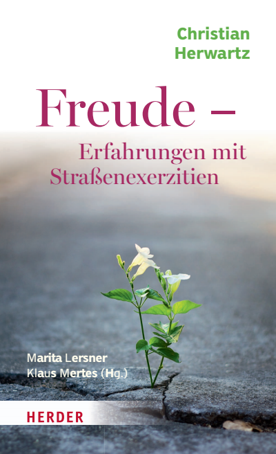 Cover des Buchs: Freude - Erfahrungen mit Straßenexerzitien