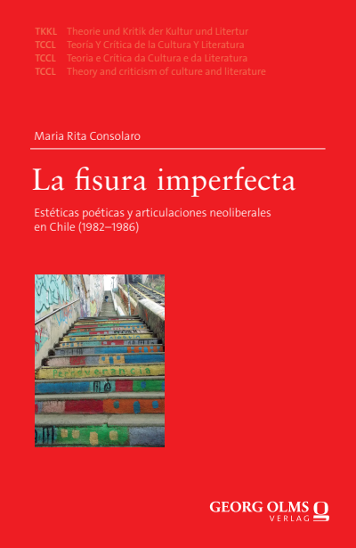 Cover of book: La fisura imperfecta