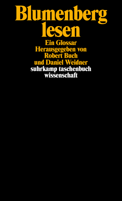 Cover des Buchs: Blumenberg lesen