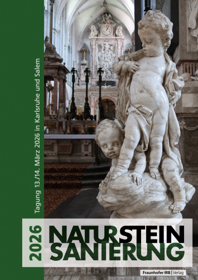 Cover des Buchs: Natursteinsanierung 2026