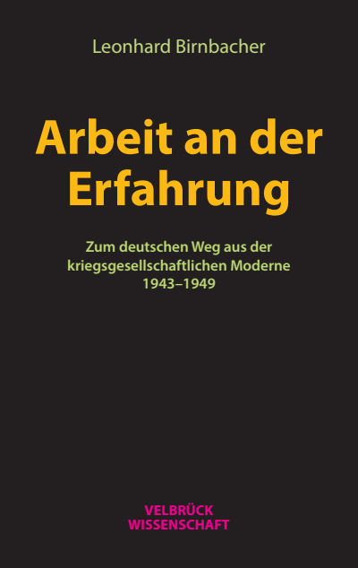 Cover des Buchs: Arbeit an der Erfahrung