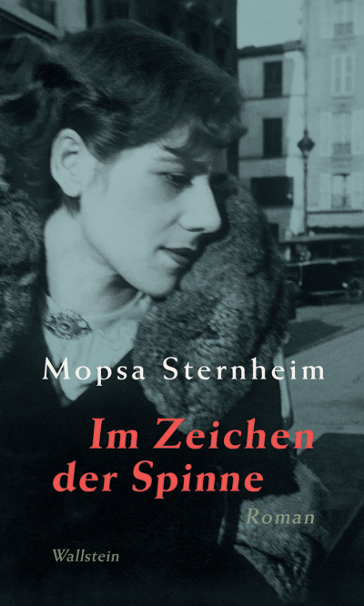 Cover des Buchs: Im Zeichen der Spinne