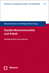 Cover des Buchs: Soziale Menschenrechte und Arbeit