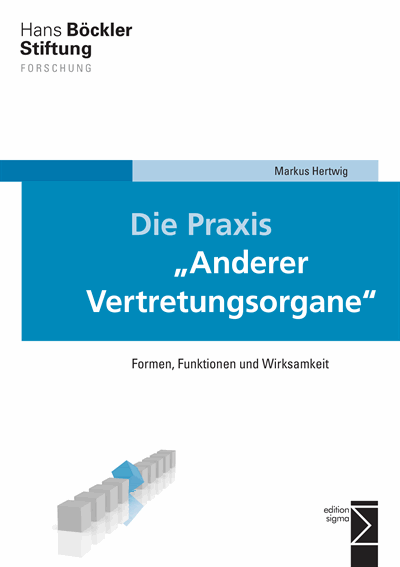 Cover of book: Die Praxis »Anderer Vertretungsorgane«