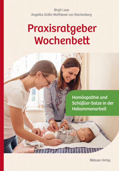 Cover of book: Praxisratgeber Wochenbett