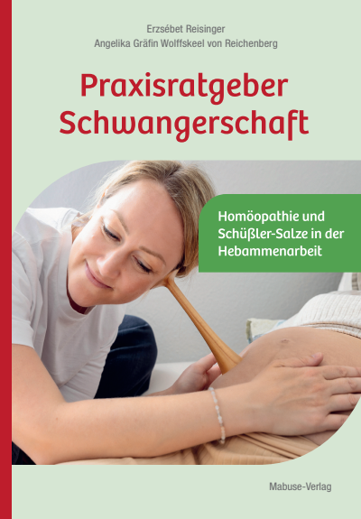 Cover des Buchs: Praxisratgeber Schwangerschaft