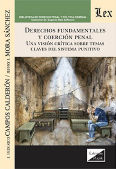 Cover des Buchs: Derechos fundamentales y coerción penal