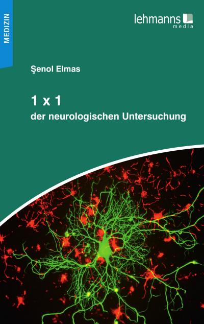 Cover of book: 1x1 der neurologischen Untersuchung