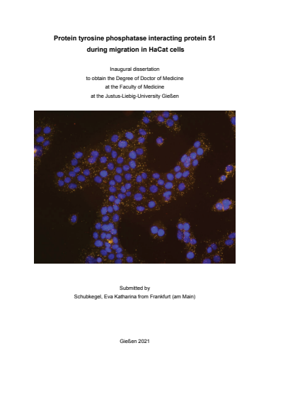 Cover des Buchs: Protein tyrosine phosphatase interacting protein 51 during migration in HaCat cells