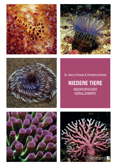 Cover des Buchs: Niedere Tiere indopazifischer Korallenriffe
