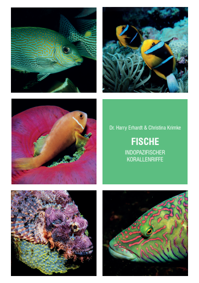 Cover des Buchs: Fische indopazifischer Korallenriffe